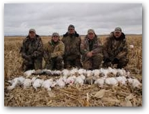 Snow goose Hunting 