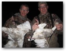 Snow goose bands 