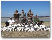 NE Arkansas Snow Geese  &raquo; Click to zoom ->