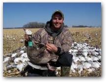 Green Collared Blue Goose 