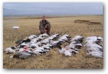 A successful Hunt 