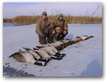Late season ducks and geese 