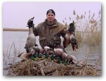 Ducks and Geese 