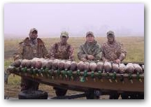 Minnesota Greenheads  &raquo; Click to zoom ->